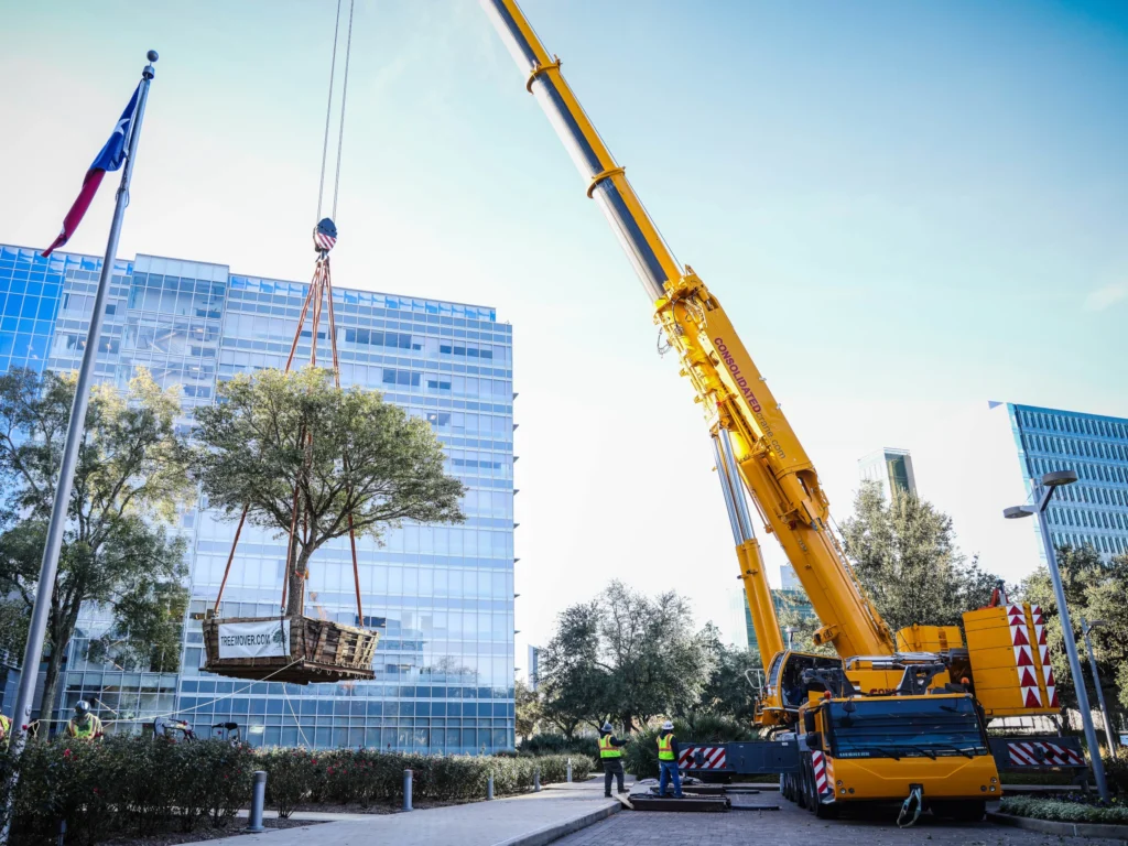 Top Mobile Truck Crane Rentals 💪 Consolidated Crane & Rigging