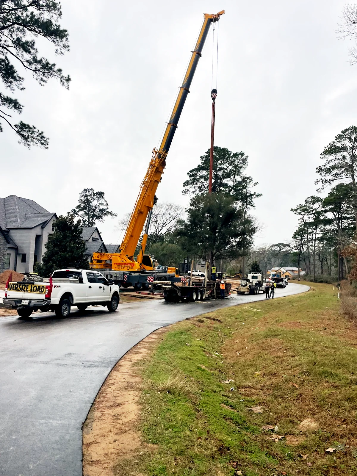 rigging cranes setting trees in Montgomery TX